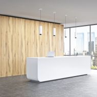 CHAP Design Strahler-Hngeleuchte Gezielte Beleuchtung hier mit den Strahler-Pendel in Wei.