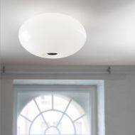 AIH Hochwertige Glas-Deckenleuchte Schne, bauchige Deckenlampe fr das Wohnzimmer.