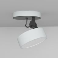 DOT Beweglicher LED Spot Spot in RAL 9006, Elemente in Schwarz.