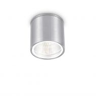 COLL Deckenspot fr Innen und Auen Deckenspot in der Oberflche Aluminium.