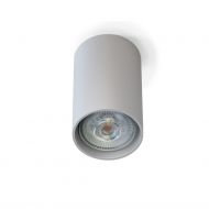 POXA Cylindrical ceiling light Deckenspot mit direktem Downlight, silbergrau.
