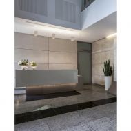 CUBIS kubische Led Deckenleuchte Minimalistische Deckenspot zur Beleuchtung des Empfangstresens.