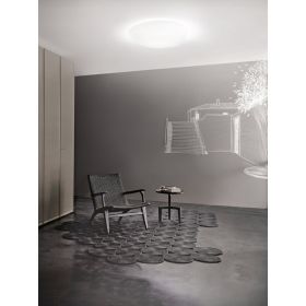 NEOCHIC Organic ceiling light with white satinized glass Groe Wohnzimmer Deckenleuchte aus Glas.