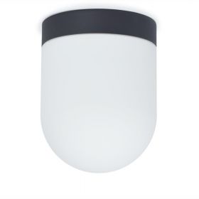 SOJUS kapselförmige Deckenleuchte Die Deckenlampe mit schwarzer Halterung. Schutzklasse IP44.
