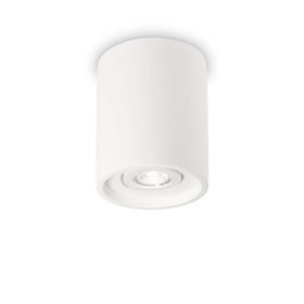 PEPPA Movable plaster ceiling spotlight Schlicht-weier Deckenspot aus Gips.