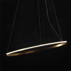 RINGS Ring LED design pendant light brass