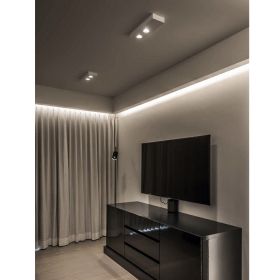 DOMINO SFEROS Dimmable ceiling spotlight Private house Brussels (Projekt TAL)