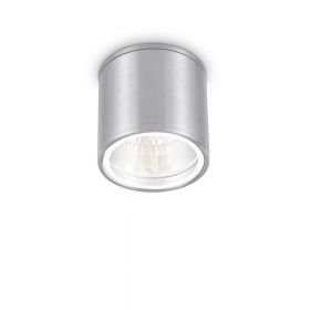 COLL Deckenspot fr Innen und Auen Deckenspot in der Oberflche Aluminium.