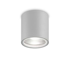 COLL Deckenspot fr Innen und Auen Grauer Auen-Deckenspot mit Schutzart IP44.