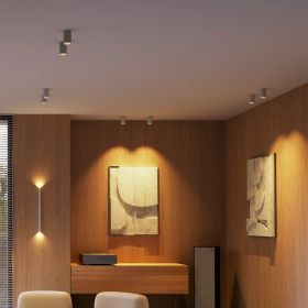 CHRIS Moderner LED Deckenspot