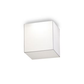 MONOBLOQUE cubic ceiling light