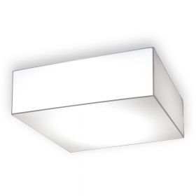 MONOBLOQUE Rectangular ceiling light