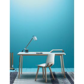 PLUME Flexible desk lamp from Spain Schlichte, moderne Tischleuchte passend zu Holzmbeln.
